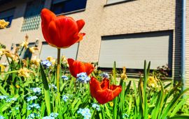 ​Lakásvásárlás tavasszal: mire figyeljünk a főszezonban?