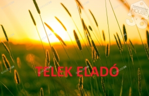 ingatlan kep