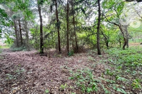 ingatlan kep